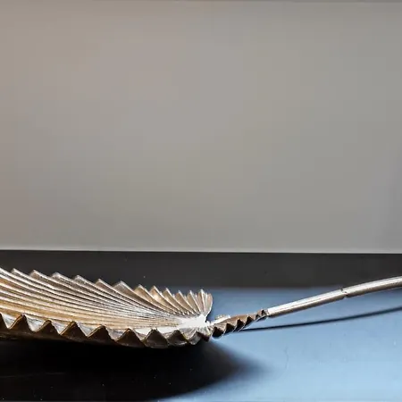 Aux Caprices De Leah Trooz